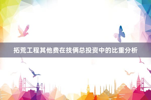 拓荒工程其他费在技俩总投资中的比重分析