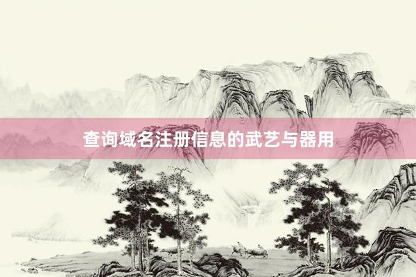 查询域名注册信息的武艺与器用