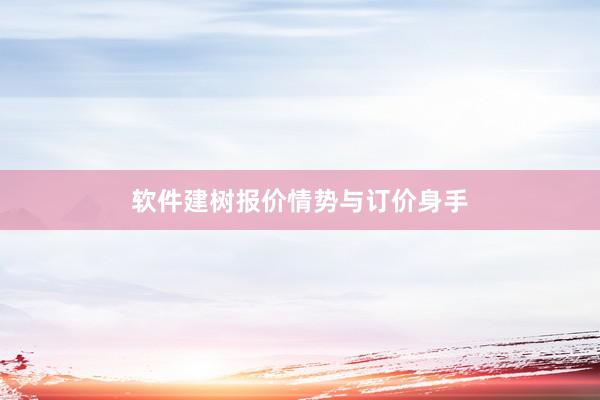 软件建树报价情势与订价身手